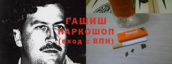 ГАЛЛЮЦИНОГЕННЫЕ ГРИБЫ Богданович