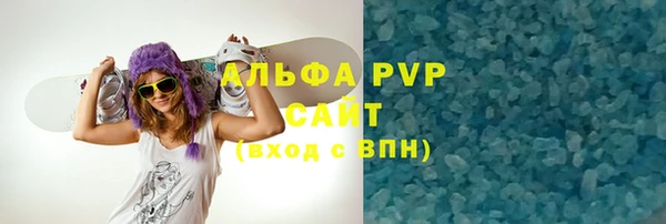 ГАЛЛЮЦИНОГЕННЫЕ ГРИБЫ Богданович
