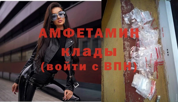 ГАЛЛЮЦИНОГЕННЫЕ ГРИБЫ Богданович