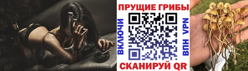 Купить Цимлянск Галлюциногенные грибы прущие грибы
